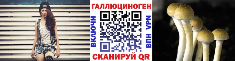 Псилоцибиновые грибы ЛСД  закладка  darknet официальный сайт  Холмск 