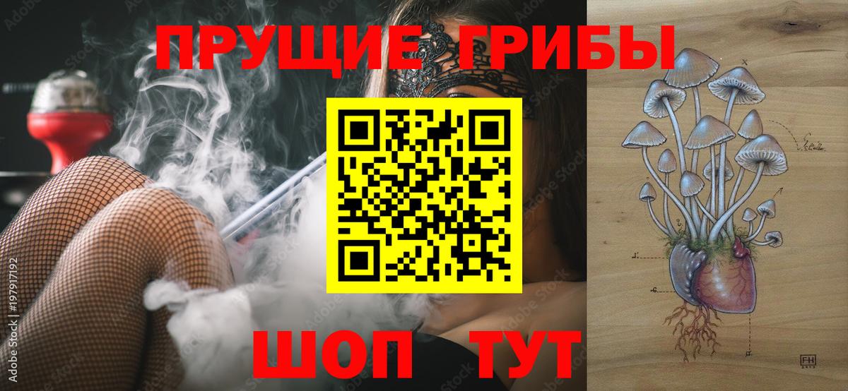 Псилоцибиновые грибы прущие грибы  где купить наркоту  Вход с VPN  Холмск  Галлюциногенные грибы мухоморы 
